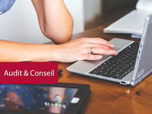 Audit et conseil